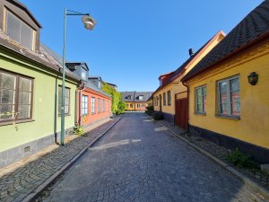 20200816_164030.jpg