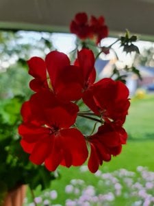 20200820_194847.jpg