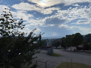 8846FB98-36DF-4AAB-81E0-36766ABECD82.jpeg