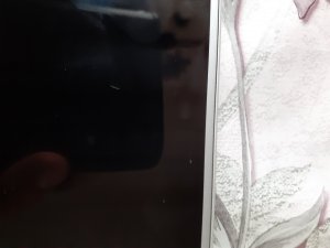 20200821_082251.jpg