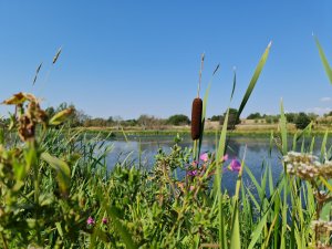 20200815_150718.jpg
