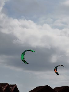 IMG_20200822_160051.jpg