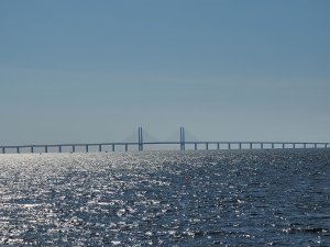 20200813_154520.jpg