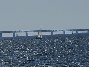 20200813_154813.jpg