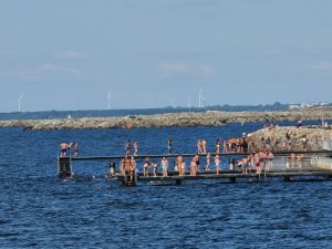20200813_155906.jpg