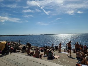 20200813_160503(0).jpg