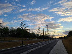 20200821_195315.jpg