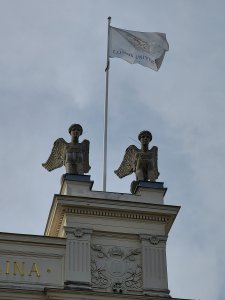 20200822_153503.jpg