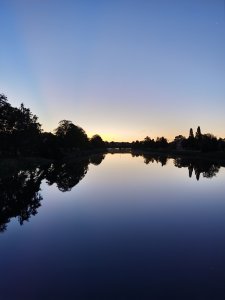 IMG_20200824_051206.jpg
