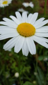 20150618_124805.jpg
