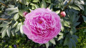 20150702_141636.jpg