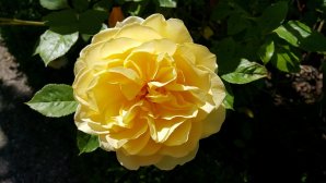 20150702_143129.jpg