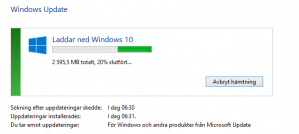 Win 10.png