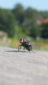 20150819_111148[1].jpg