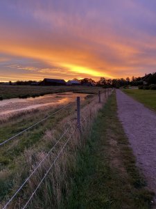 441D60EF-D3FF-4254-8D7E-77A04CE6913C.jpeg