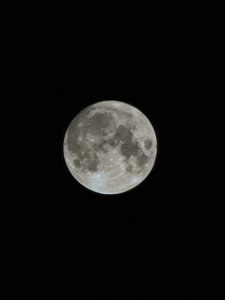 20200901_231438.jpg