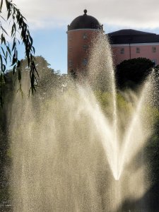 20200905_174723.jpg