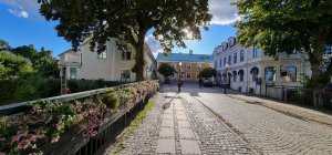 20200907_171031.jpg