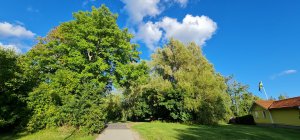20200907_172348.jpg