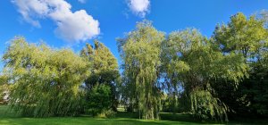 20200907_172431.jpg