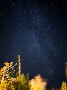 PXL_20200916_202229338.NIGHT~2.jpg