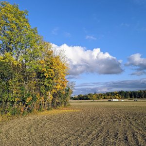 IMG_20200930_162710.jpg