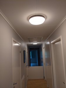 PXL_20201003_151832713.jpg