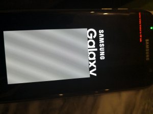 IMG_20201004_182902.jpg