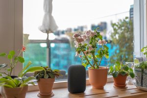 nest_audio_balcony.jpg
