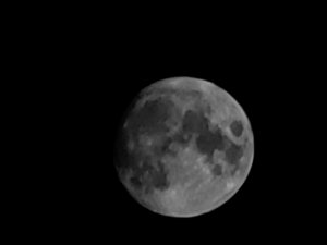 20200831_204413.jpg