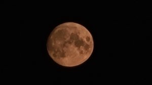 20200831_204111.jpg