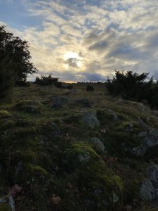 BB8CB518-E541-4409-A805-D43D2D66D8E5.jpeg