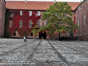 IMG_20201010_174755.jpg
