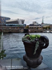 IMG_20201010_175307.jpg