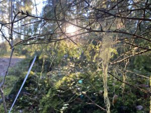 5699E4DF-4036-470C-959C-5630A26CB9CC.jpeg