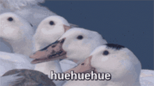 157966FC-EE9B-4A4C-8B99-406B9449AAED.gif