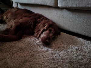 20201018_071037.jpg