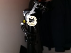 IMG_20201021_184331.jpg
