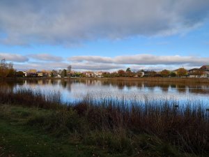 DSC_0020.JPG