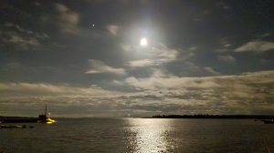 IMG_20201028_184826.jpg