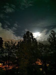 IMG_20201028_201230.jpg