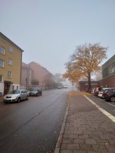 20201030_075215.JPG