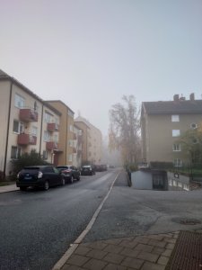 20201030_073353.JPG