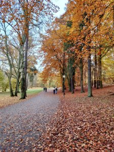 DSC_0010-01.jpeg