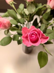 20201031_201740.jpg