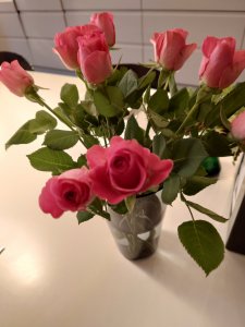 20201031_183134.jpg