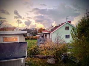 DSC_0016-01.jpeg