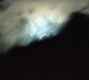 IMG_20201031_183522.jpg