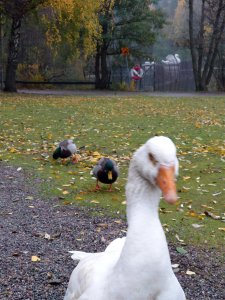 20201101_124642-01.jpeg