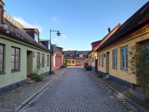DSC_0056.JPG